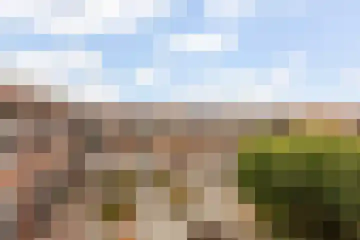 Terschellingkade 71 Woerden thumbnail 36