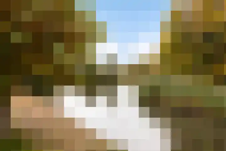 Terschellingkade 71 Woerden thumbnail 39