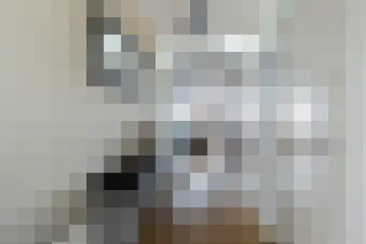 Terschellingkade 71 Woerden thumbnail 5