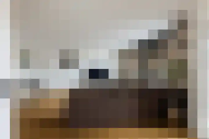 Terschellingkade 71 Woerden thumbnail 7