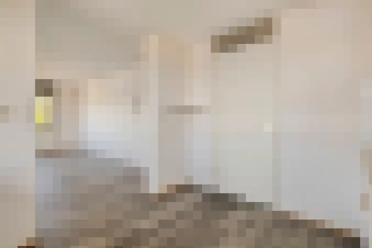 Terschellingkade 83 Woerden thumbnail 14