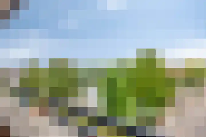 Terschellingkade 84 Woerden thumbnail 15