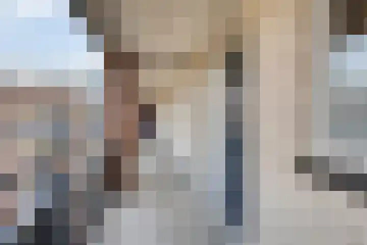 Terschellingkade 84 Woerden thumbnail 29