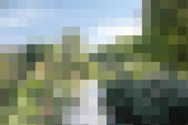 Terschellingkade 84 Woerden thumbnail 32