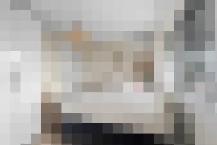 Terschellingkade 88 Woerden thumbnail 27