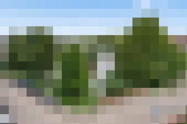 Terschellingkade 88 Woerden thumbnail 29