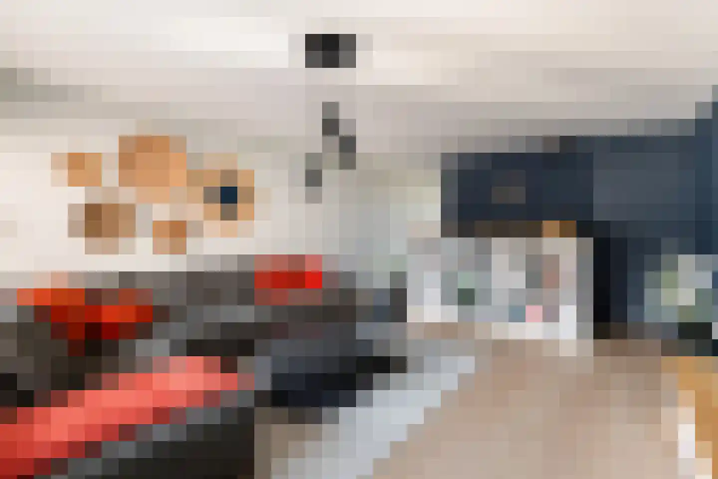 Terschellingkade 9 Woerden thumbnail 11