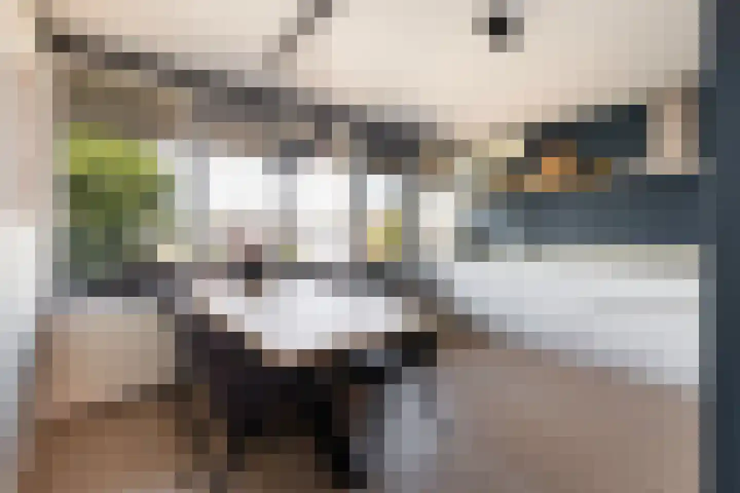 Terschellingkade 9 Woerden thumbnail 13