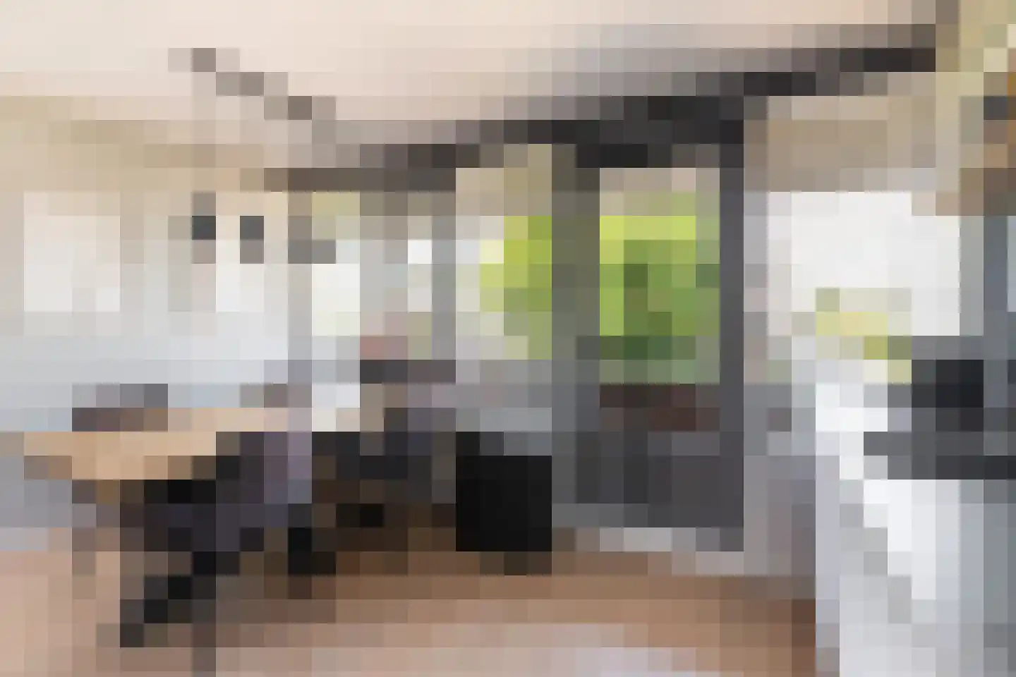 Terschellingkade 9 Woerden thumbnail 17