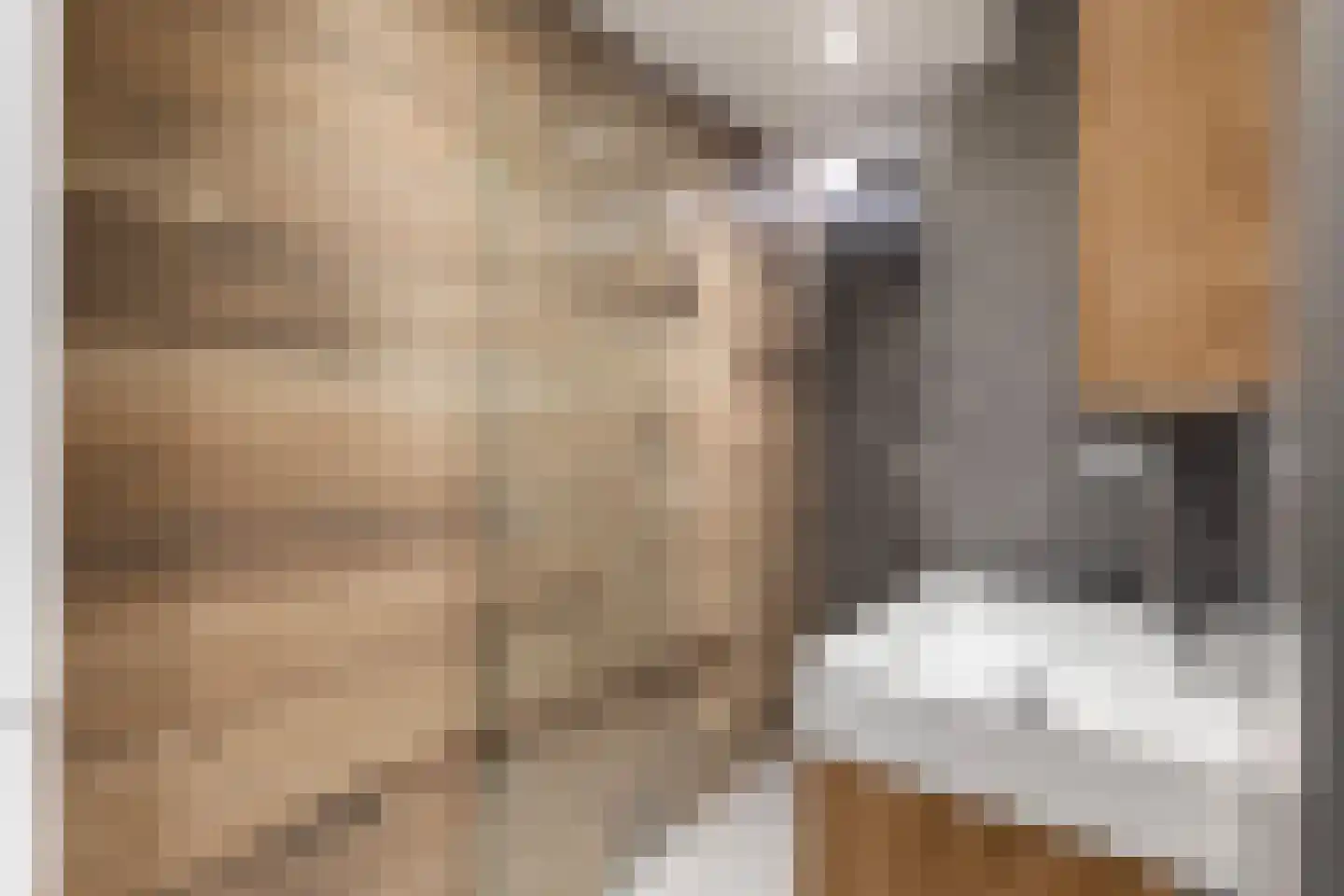 Terschellingkade 9 Woerden thumbnail 26