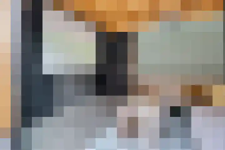 Terschellingkade 96 Amersfoort thumbnail 31