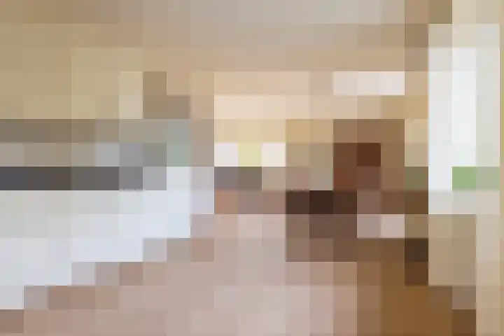 Terschellinglaan 19 Enschede thumbnail 13