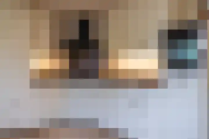 Terschellinglaan 19 Enschede thumbnail 14