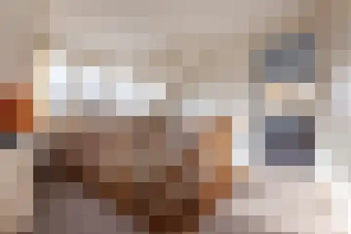 Terschellinglaan 19 Enschede thumbnail 17