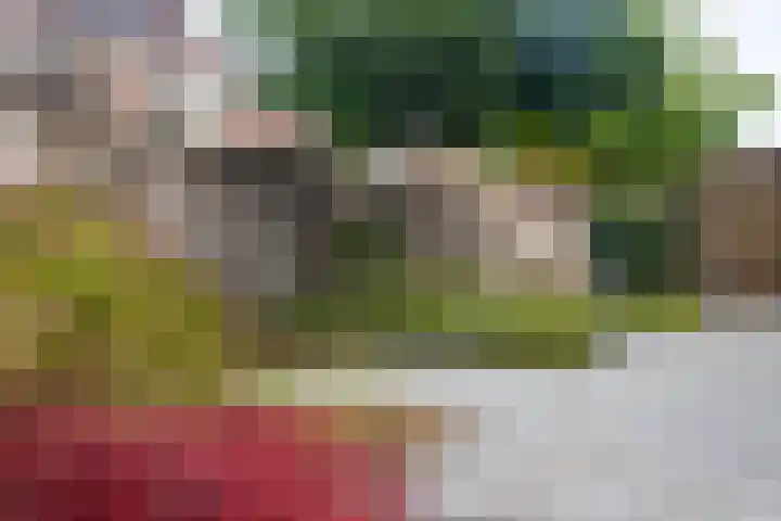 Terschellinglaan 19 Enschede thumbnail 27