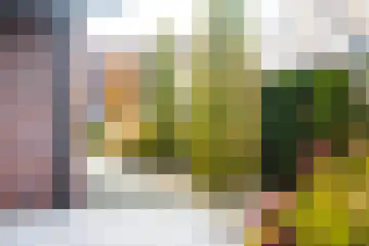 Terschellinglaan 19 Enschede thumbnail 31