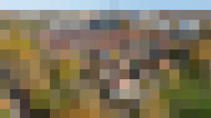 Terschellinglaan 19 Enschede thumbnail 34