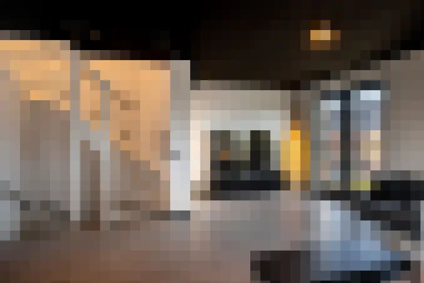 Terschellinglaan 19 Gouda thumbnail 13