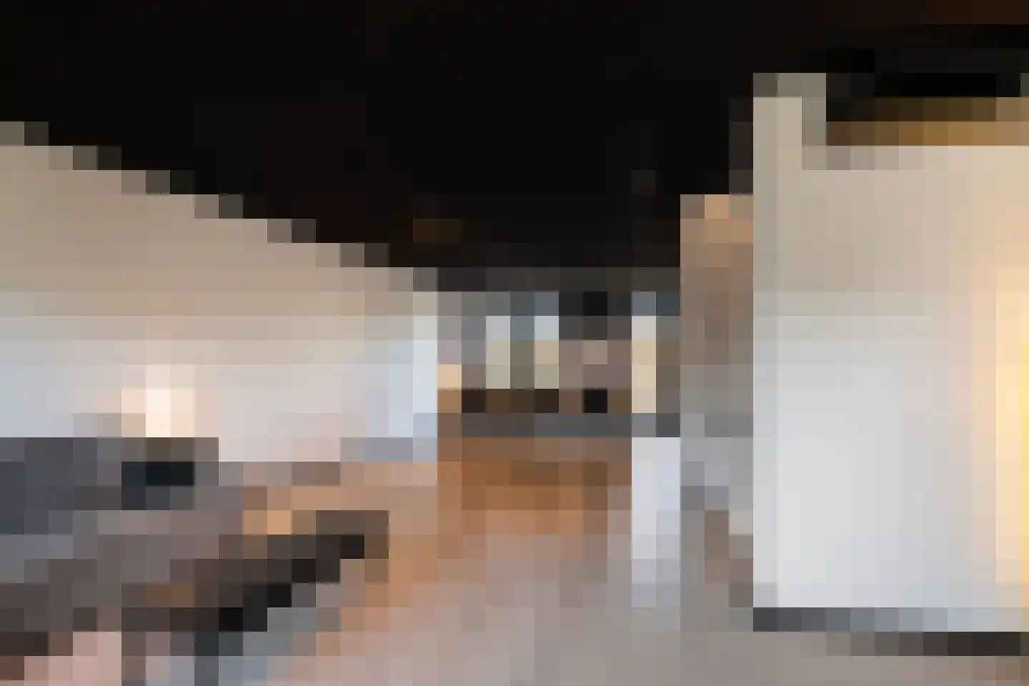 Terschellinglaan 19 Gouda thumbnail 14