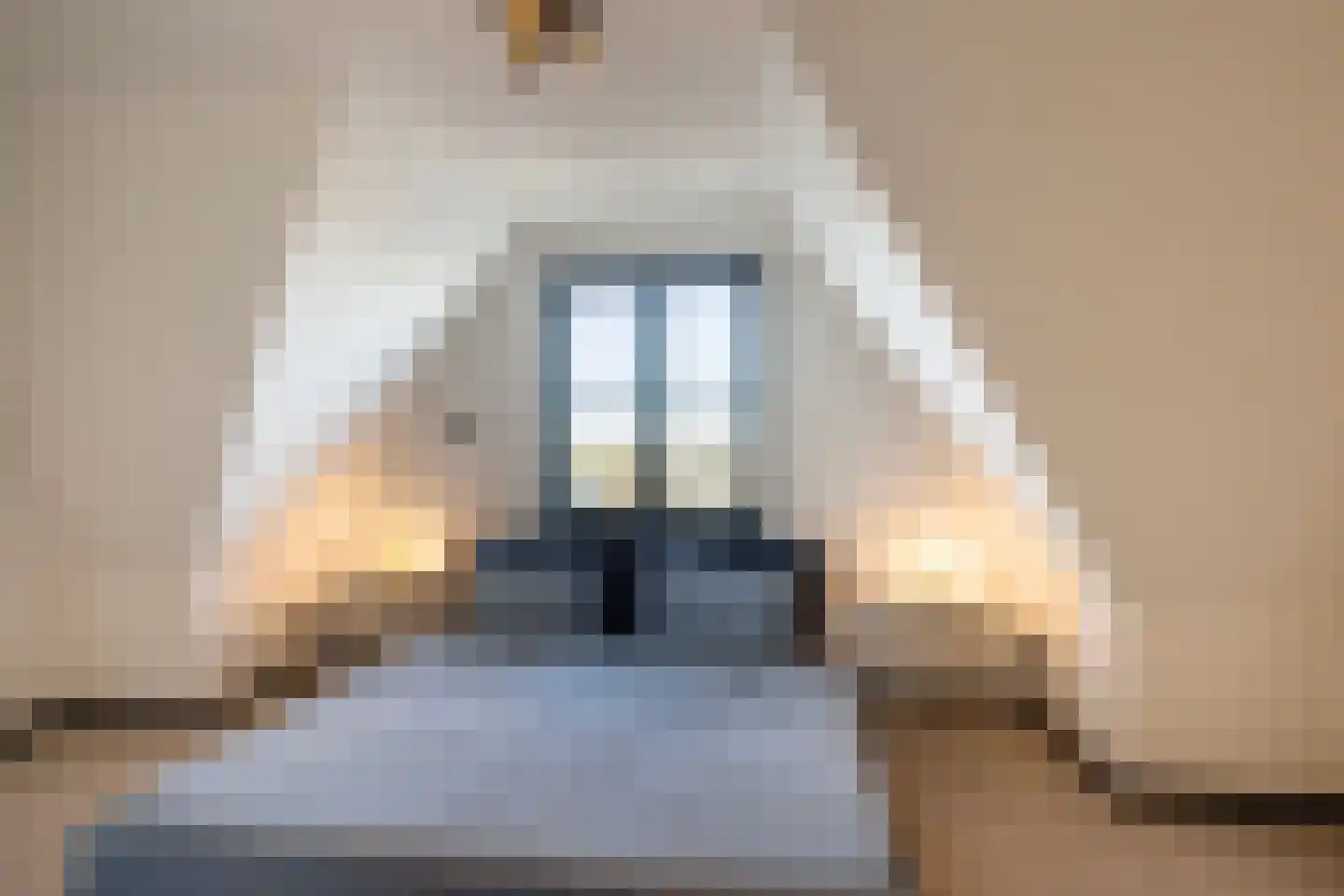 Terschellinglaan 19 Gouda thumbnail 20