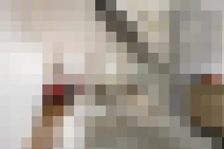 Terschellinglaan 25 Gouda thumbnail 14