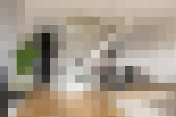 Terschellinglaan 25 Gouda thumbnail 15