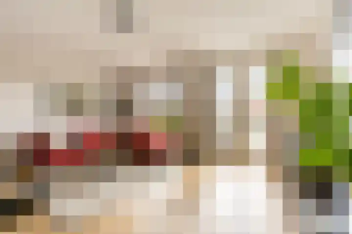 Terschellinglaan 25 Gouda thumbnail 20
