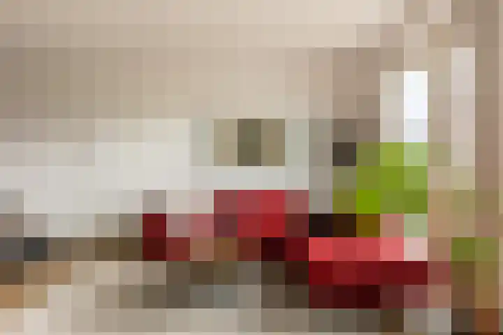 Terschellinglaan 25 Gouda thumbnail 21
