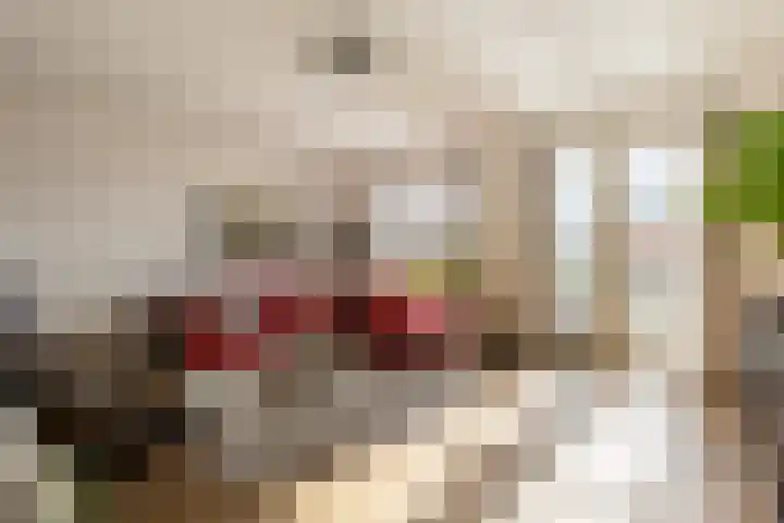 Terschellinglaan 25 Gouda thumbnail 22