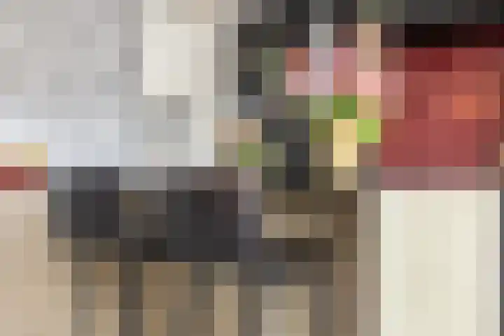 Terschellinglaan 25 Gouda thumbnail 35