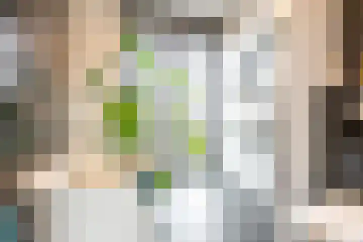 Terschellinglaan 25 Gouda thumbnail 4