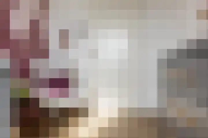 Terschellinglaan 25 Gouda thumbnail 41