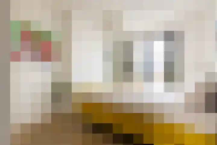 Terschellinglaan 25 Gouda thumbnail 42