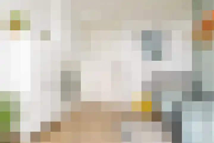 Terschellinglaan 25 Gouda thumbnail 45