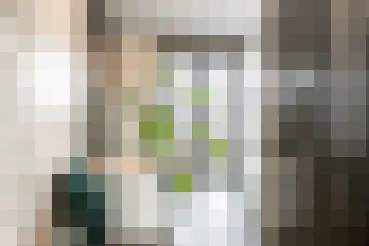 Terschellinglaan 25 Gouda thumbnail 46