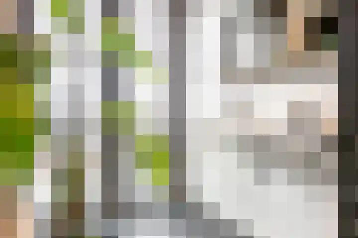 Terschellinglaan 25 Gouda thumbnail 47