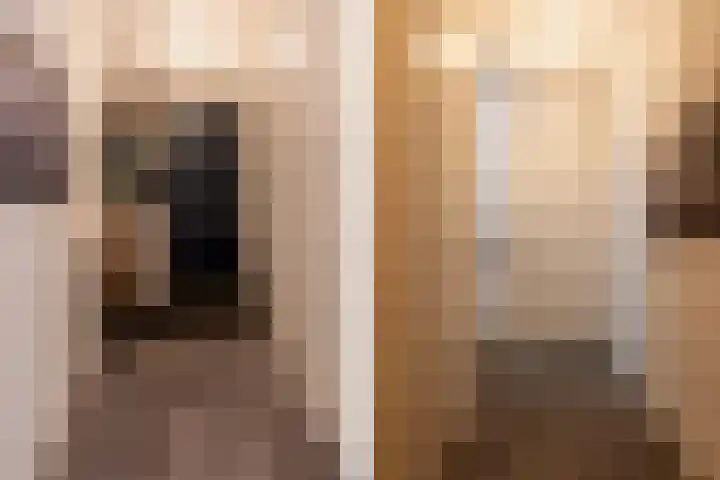 Terschellinglaan 25 Gouda thumbnail 7