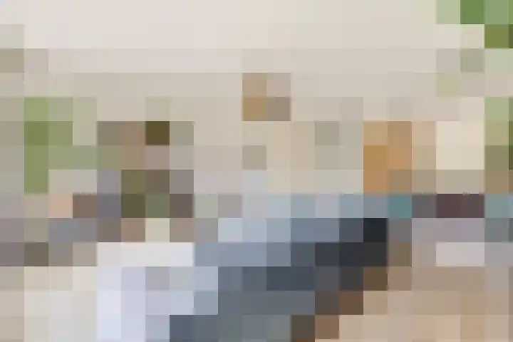 Terschellinglaan 60 Gouda thumbnail 11