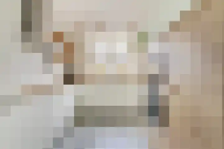 Terschellinglaan 60 Gouda thumbnail 14