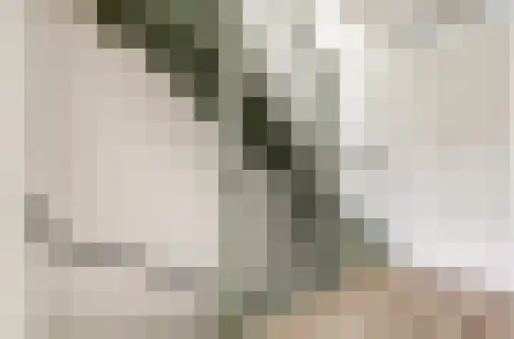 Terschellinglaan 60 Gouda thumbnail 15