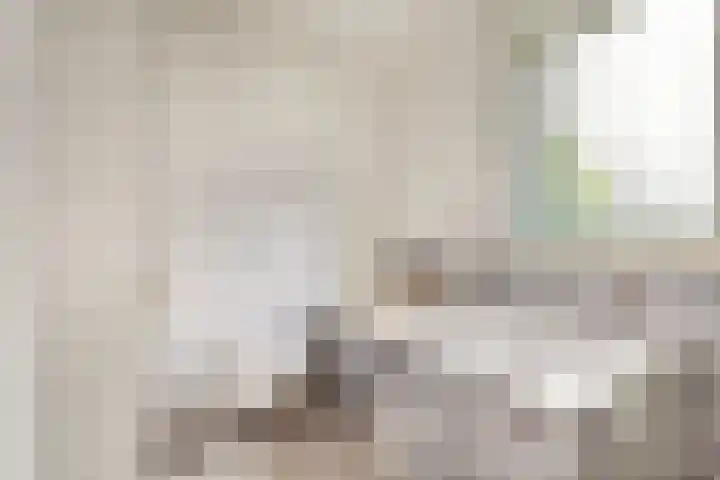 Terschellinglaan 60 Gouda thumbnail 16