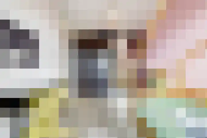 Terschellinglaan 60 Gouda thumbnail 21
