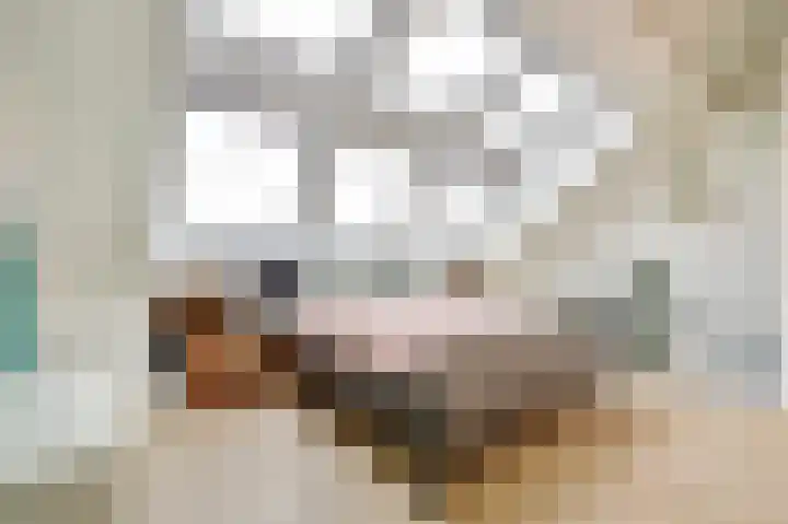 Terschellinglaan 60 Gouda thumbnail 24