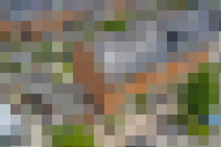 Terschellinglaan 60 Gouda thumbnail 33