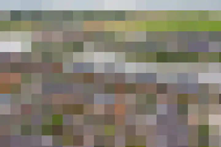 Terschellinglaan 60 Gouda thumbnail 34