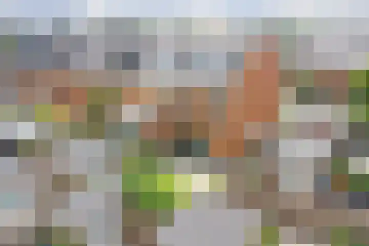 Terschellinglaan 60 Gouda thumbnail 35