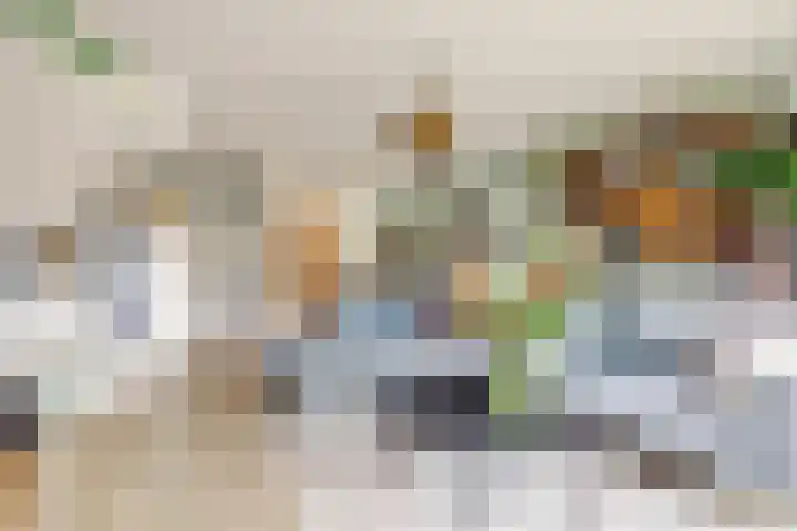Terschellinglaan 60 Gouda thumbnail 4