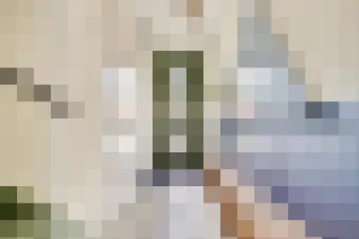 Terschellinglaan 60 Gouda thumbnail 6