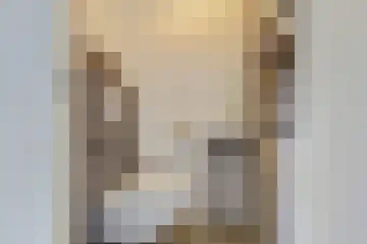 Terschellinglaan 60 Gouda thumbnail 7