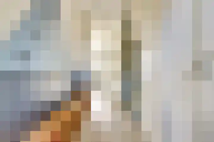 Terschellinglaan 60 Gouda thumbnail 8